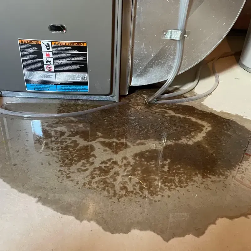 Appliance Leak Cleanup in Hawthorne, FL